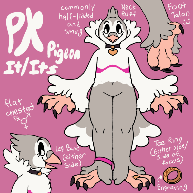 Pk's reference sheet